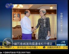 中国副外长傅莹拜会缅甸总统：一致同意维护边